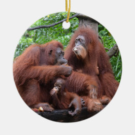 Ornamento De Cerâmica Café da manhã com o Zoológico Orangutans de Singap