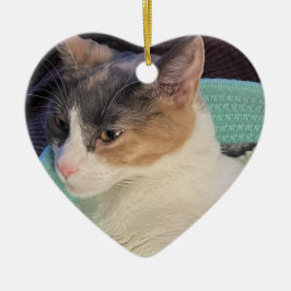 Ornamento De Cerâmica Calico Cat na Cat Bed