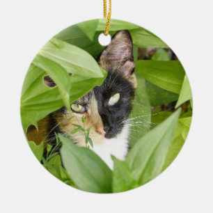 Ornamento De Cerâmica Calico Cat nos Zinnias