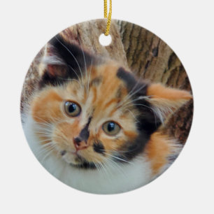 Ornamento De Cerâmica Calico kitten