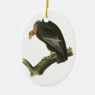 Ornamento De Cerâmica California Condor by Audubon