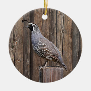ORNAMENTO DE CERÂMICA CALIFÓRNIA QUAIL NO BARNBOARD