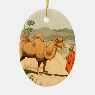 Ornamento De Cerâmica Campo de Hump Duplo no Deserto