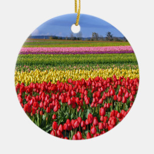 Ornamento De Cerâmica Campo de tulipa colorida