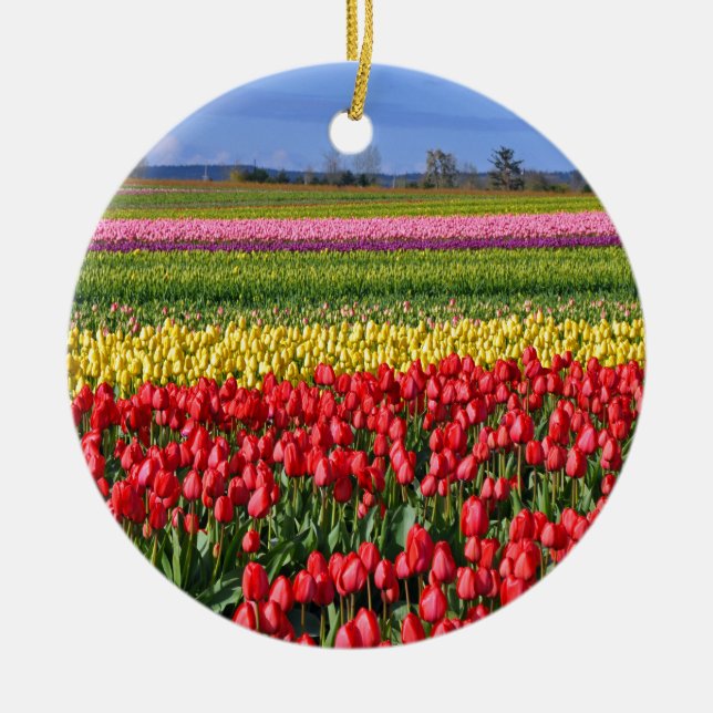 Ornamento De Cerâmica Campo de tulipa colorida (Frente)