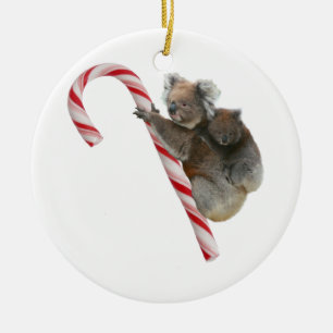 Ornamento De Cerâmica Candy Cane Australian Koala Bears