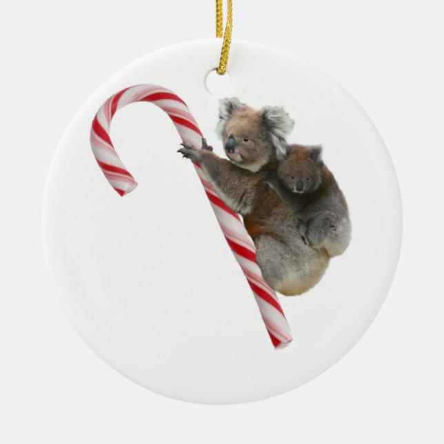Ornamento De Cerâmica Candy Cane Australian Koala Bears (Frente)