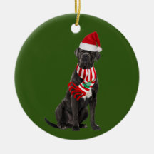 Cane Corso Com O Natal Do Chapéu