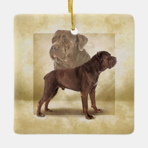Ornamento De Cerâmica Cane Corso - Mastiff Italiano