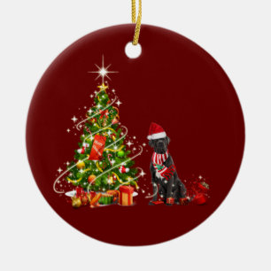 Ornamento De Cerâmica cano de cana-de-açúcar com o Natal da Hat Scaft