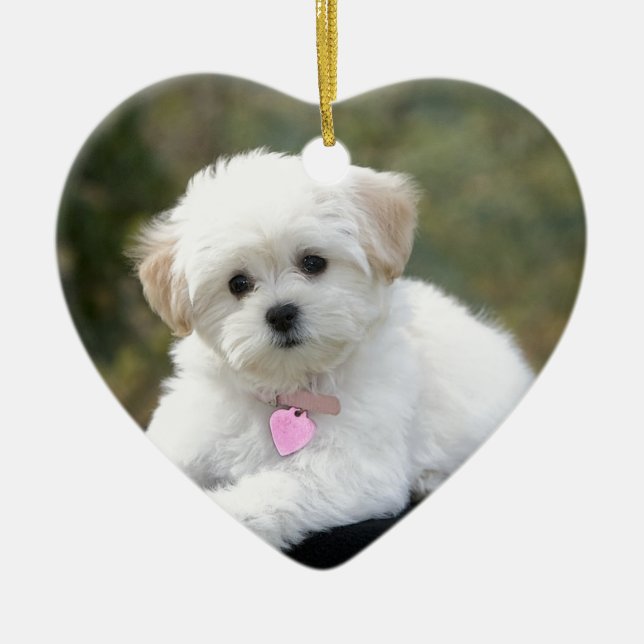 Ornamento De Cerâmica Cão branco macio (Frente)