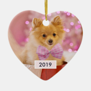 Ornamento De Cerâmica Cão Cachorro com Fotografia de Natal de Arco Rosa