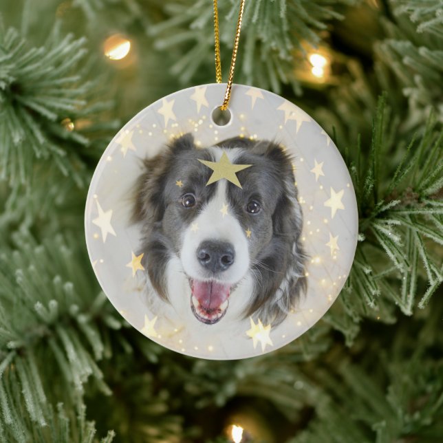 Ornamento De Cerâmica Cão Collie da Fronteira de Natal com estrelas e lu (Árvore)
