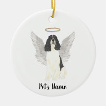Cão de Água Inglês Tricolor Simpatia