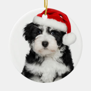 Ornamento De Cerâmica Cão de filhote de cachorro de Havanese do Natal
