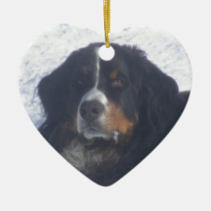 Ornamento De Cerâmica Cão de montanha de Bernese