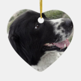 Ornamento De Cerâmica Cão de pastor búlgaro de Sara