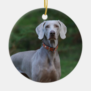 Ornamento De Cerâmica Cão-de-porco