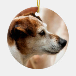 ORNAMENTO DE CERÂMICA CÃO DE RUSSELL TERRIER DO JAQUE