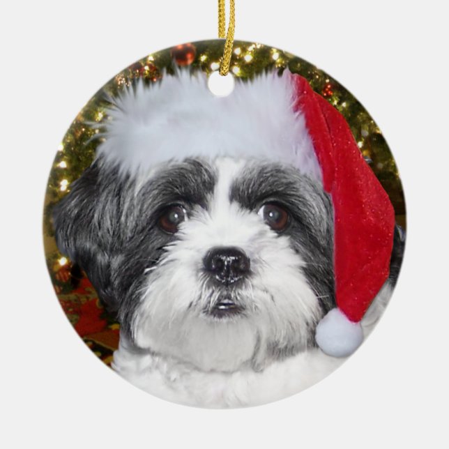Ornamento De Cerâmica Cão de Shih Tzu do Natal (Frente)