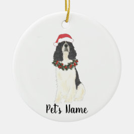Ornamento De Cerâmica Cão de Springer Spaniel Inglês Tricolor Natal