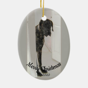 Ornamento De Cerâmica Cão de vista triste de great dane do Natal datado