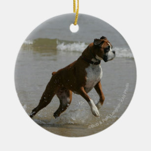 Ornamento De Cerâmica Cão do pugilista na água