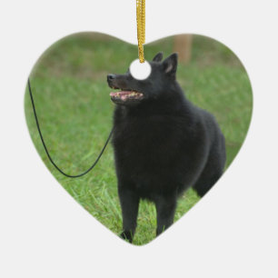 Ornamento De Cerâmica Cão do Schipperke