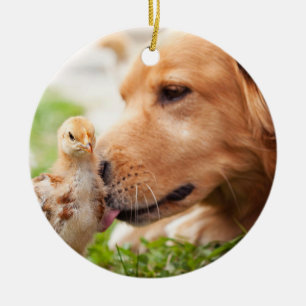 Ornamento De Cerâmica Cão e pintinho
