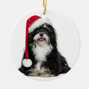 Ornamento De Cerâmica Cão engraçado de Havanese do Natal com chapéu do