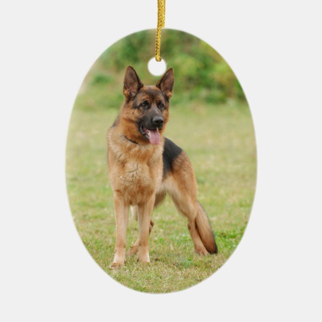 Ornamento De Cerâmica cão german shepherd (Frente)