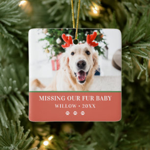 Ornamento De Cerâmica Cão Natal Moderno Foto Feliz Pawlidays