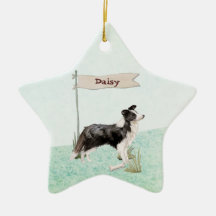 Cão Pet de Collie de Borda de Nome Personalizado