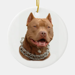 Ornamento De Cerâmica Cão Pitbull