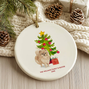 Ornamento De Cerâmica Cão Pomerano Personalizado Natal