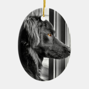 Ornamento De Cerâmica Cão preto