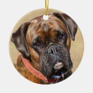 Ornamento De Cerâmica Cão rajado do pugilista