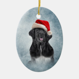 Ornamento De Cerâmica Cão Terra Nova no chapéu vermelho de Papai Noel