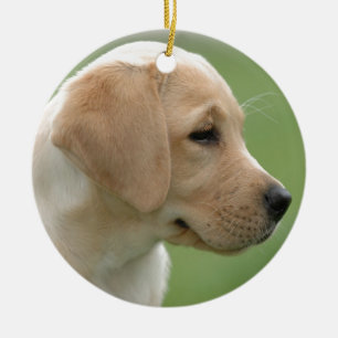 Ornamento De Cerâmica Cãozinho labrador-amarelo