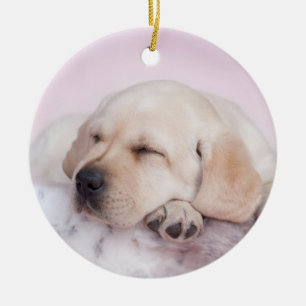Ornamento De Cerâmica Cãozinho labrador-amarelo
