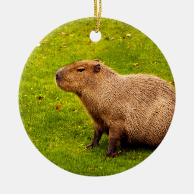 Ornamento De Cerâmica Capivara (Frente)