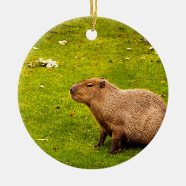 Ornamento De Cerâmica Capivara (Frente)