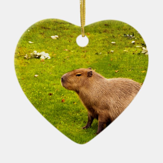 Ornamento De Cerâmica Capivara (Frente)