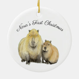 Ornamento De Cerâmica Capybara