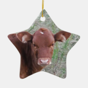 Ornamento De Cerâmica Cara da vaca de Brown do bebê