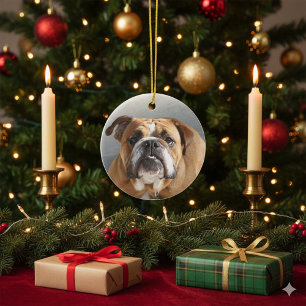 Ornamento De Cerâmica Cara do buldogue - buldogue inglês, Brown