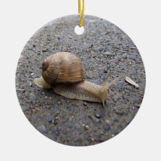 Ornamento De Cerâmica caracol (Frente)