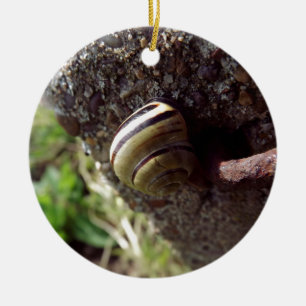 Ornamento De Cerâmica caracol