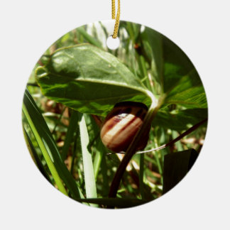 Ornamento De Cerâmica caracol sneaky