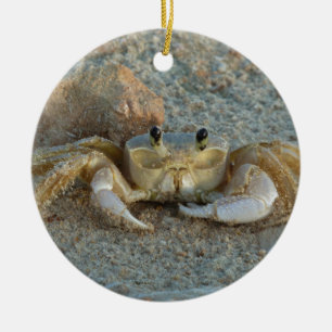 Ornamento De Cerâmica Caranguejo da areia